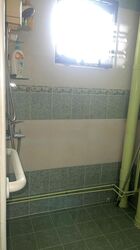Blk 472 Choa Chu Kang Avenue 3 (Choa Chu Kang), HDB 5 Rooms #458206961